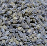 2015年农家自产无公害优质黑小麦仁 黑小麦米 高营养长寿食品500g