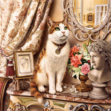 精准印花新款法国DMC十字绣正品套件 客厅卧室名画 可爱的小猫咪