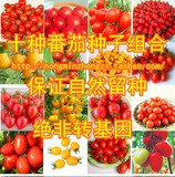 10种番茄种子包邮 圣女果种子 水果小西红柿种子非转基因组合套餐
