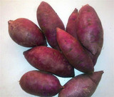 【新发地直通车】新鲜蔬菜--越南紫薯-迷你小紫薯（1.7斤）养生菜