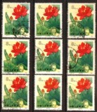 T54 荷花 4－3 信销邮票  上品（单枚价）