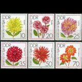 东德1979年花卉-大理,蔷薇等6全(斯科特价美元3.3)(XO656)