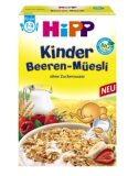 德国直邮德国喜宝Hipp辅食有机儿童浆果麦片米粉米糊 200g 12个月