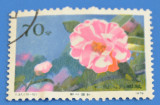 T37 云南山茶花 (10-10) 信销上品 邮票