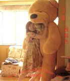1.8米泰迪熊2米抱抱熊大号公仔毛绒玩具熊布娃娃男女生日礼物创意