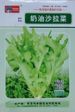 Z43奶油沙拉菜 菜种子/大包/露天大棚蔬菜瓜水果花卉 春秋季秋播