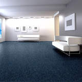 办公室地毯 地毯卧室满铺台球地毯满铺客房客厅办公定制地毡Q