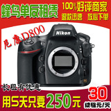 租单反相机Nikon/尼康 D800 D800E 行货单反出租全画幅 高清