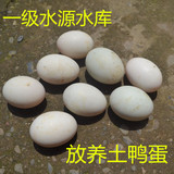 农家土鸭蛋 水库放养纯天然散养新鲜鸭蛋 吃稻谷螺丝 非咸鸭蛋