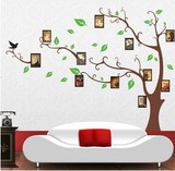 特价包邮特价超大相片照片树三代可移除墙贴客厅沙发卧室背景贴纸