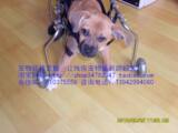 【狗轮椅】残疾狗康复锻炼用轮椅/瘫痪宠物犬轮椅/小型宠物代步车