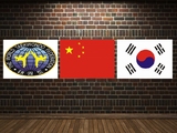 中韩国旗跆拳道馆旗帜联盟协会标志墙壁装饰画挂画贴画无框画包邮