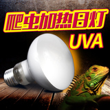 爬虫用品 UVA加热灯变色龙陆龟绿鬣蜥保温灯仿日光磨砂灯60W100W