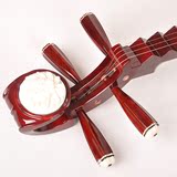 民族弹拨乐器专业演奏红木雕成人考级琵琶乐器配件指甲教材弦