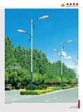 6米8米12米路灯杆子 高杆灯户外路灯 小区路灯路灯壳 道路灯 全套