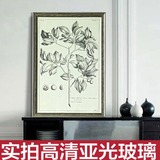 美式装饰画 客厅乡村挂画三联画植物餐厅有框画黑白素描画进口画