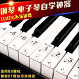 线谱简谱琴键贴纸钢琴 电子琴键盘贴无胶吸附型88键 61键透明五