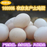 【均田5队】农家散养土鸡蛋桂花林野生笨鸡蛋新鲜有机无公害鸡蛋