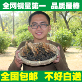 广东特产 农家自晒白菜干 青菜蔬菜干菜芯农家产脱水梅菜干货250g