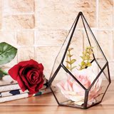 玻璃罩几何摆件 创意饰品多肉植物微景观永生花房工艺生态瓶礼盒