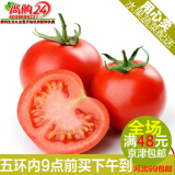 尚购24蔬果  新鲜蔬菜番茄 新鲜西红柿500克 新发地蔬菜同城配送
