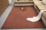 特价 可水洗珊瑚绒短毛地毯卧室客厅茶几地毯满铺可定做地垫 纯色