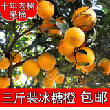 广西桂林冰糖橙新鲜橙子孕妇水果3斤包邮永兴赣州安远赣南脐橙