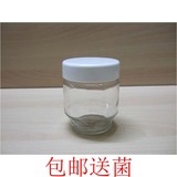 酸奶瓶带盖无铅密封酸奶机玻璃分杯150ML小熊酸奶机适用包邮送菌