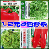 家种蔬菜种子 阳台盆栽 小生菜 胡萝卜番茄 种子200粒