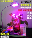 LED植物灯长杆弯管夹子3W多肉生长灯5W肉肉补光灯红蓝光合作用
