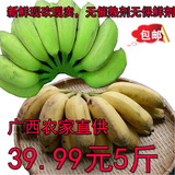 包邮广西新鲜香蕉水果无催熟剂米蕉粉蕉糯米蕉非海南皇帝蕉 5斤