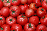 新鲜果蔬 西红柿  上海同城蔬菜水果配送满69包邮