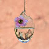 悬挂式微景观玻璃花瓶 办公室水培植物摆件 创意简约家居摆件礼物