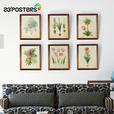 卓雅艺术 欧式装饰画客厅背景创意组合墙画餐厅植物挂画标本图谱