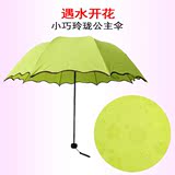 创意遇水见花折叠雨伞钢骨三折伞纯色荷叶边公主伞晴雨伞