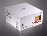 香港L.P酵素代餐饼干套盒营养健康减肥瘦身
