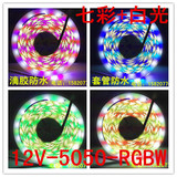 12V5050RGBW灯带单条多色软灯条LED七彩加纯白光超亮灯带RGBW防水