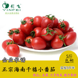 正宗海南千禧小番茄 5斤包邮樱桃圣女果西红柿蔬菜新鲜水果