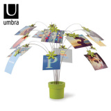 正品Umbra创意花瓣台式相片树便签夹儿童相框相架摆台照片展示架