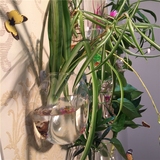 创意水壶玻璃花瓶 现代简约墙壁挂花瓶 时尚家居水培插花器小鱼缸