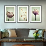 现代简约植物花卉装饰画客厅沙发背景墙三联画壁画挂画莲花荷花画