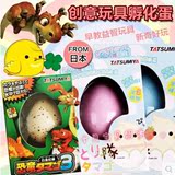现货韩版创意早教玩具惊喜蛋鸡蛋 可孵化恐龙蛋3代水孵膨胀出奇蛋