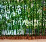 仿真竹子 假竹子屏风隔断装饰毛竹 环保镀膜加密带叶仿真绿植竹子