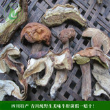 野生美味黄白牛肝菌青川土特产干货山货非云南新鲜丽江出口级蘑菇