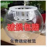 批发玻璃圆球花瓶特大 花卉植物 鱼缸花盆水培球形透明 圆形玻璃