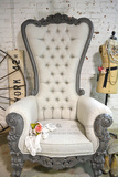 出口法国欧式古典风格实木豹纹雕花扶手椅书房椅
