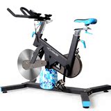 蓝堡健身车室内自行车运动静音家用器材脚踏健身器械左右摇摆动