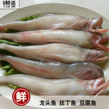 新鲜海鲜鲜活海鲜龙头鱼丝丁鱼豆腐鱼 水产品海鲜配送500g