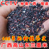 广西东兰巴马墨米 黑糯米 有机黑米 黑紫糯米 富硒大米超五常大米