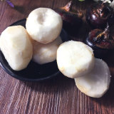 广西特产新鲜农家产品水果 马蹄荸荠5斤散装未洗乌栗乌芋地栗甜脆